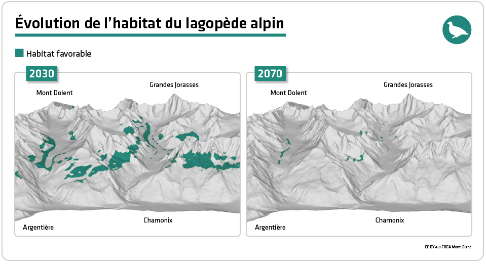 Evolution de l'habitat du lagopède alpin entre 2030 et 2070